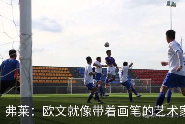 弗莱：欧文就像带着画笔的艺术家 他的进攻动作衔接就像画画一样